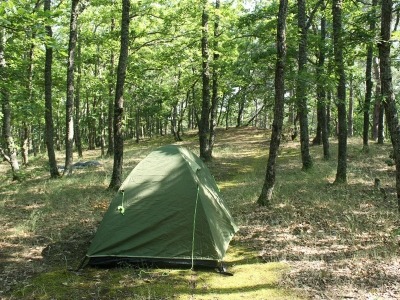 палаточный лагерь в лесу