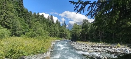 1761357814.2431