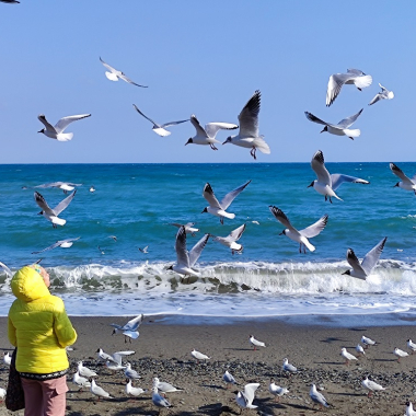 Алушта