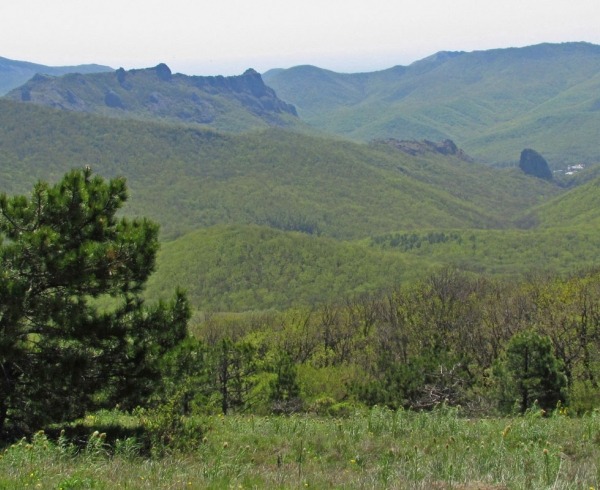 Френк Мезер Френк Мезер