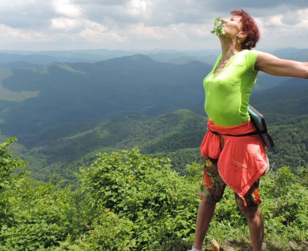 Внутренний туризм