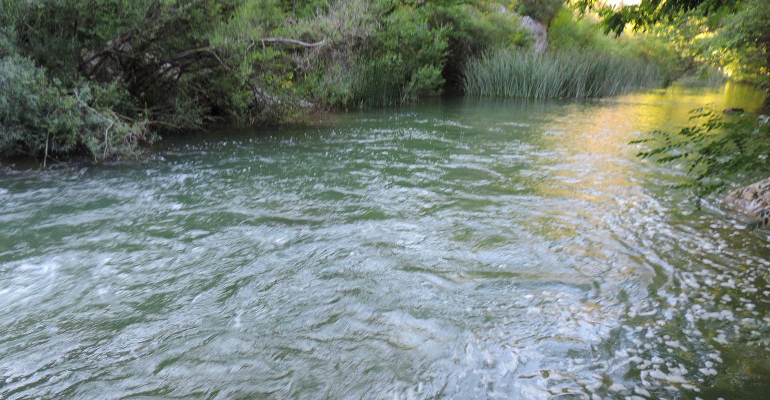 Жажда в походе