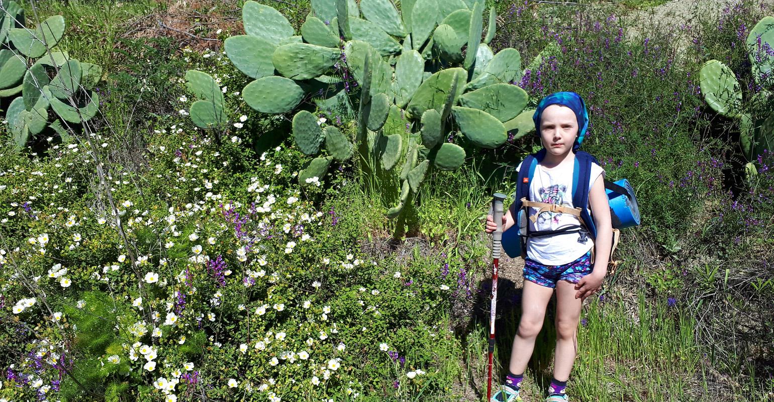 Как пойти в поход с ребёнком?