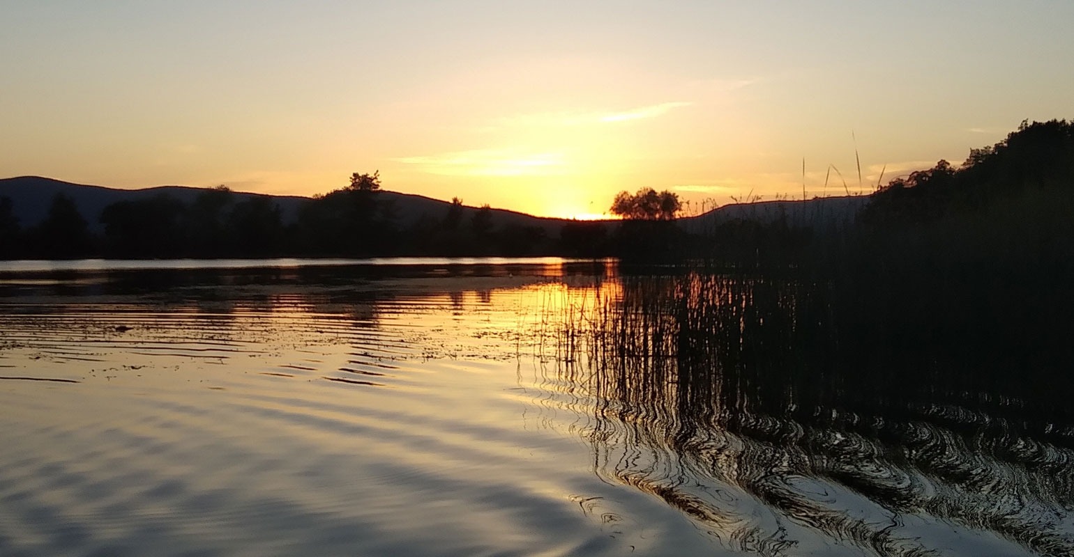 Где брать воду в диких условиях? Где брать воду в диких условиях?