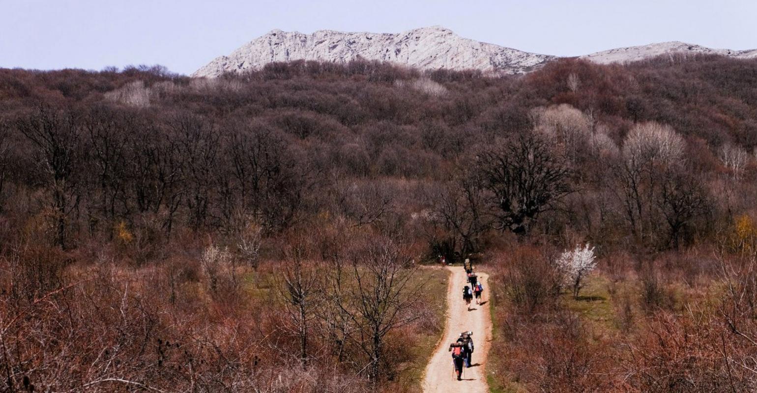 Медитация во время ходьбы