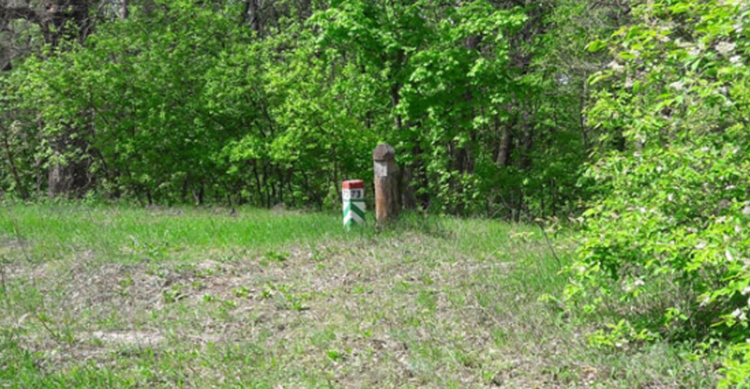 Квартальные столбы в лесу Квартальные столбы в лесу