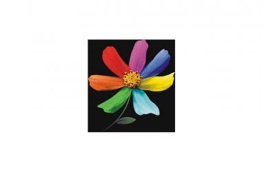 Эзотерическая сказка про цветик-семицветик и чакральную силу