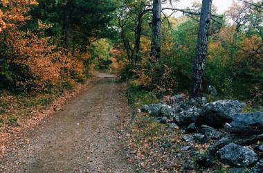 Еврейская тропа
