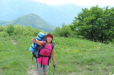 Организация внутреннего туризма