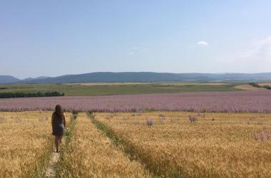 Кемпинг в горах