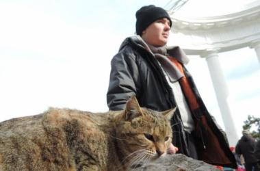 Отчёт о поездке в Крым на Новый год